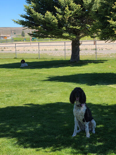 Jackpot Dog Park