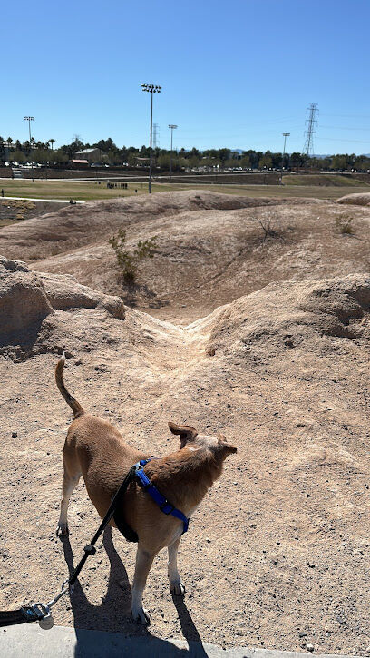 Charlie Frias Dog Area