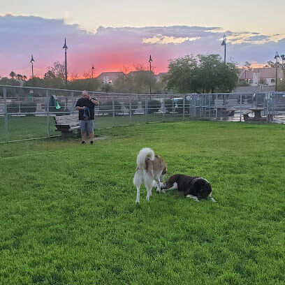 Clark County Dog Park at Spring Valley Community Park
