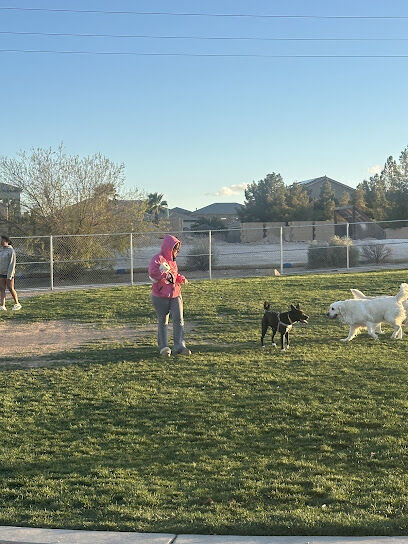 Silverado Ranch Dog Park