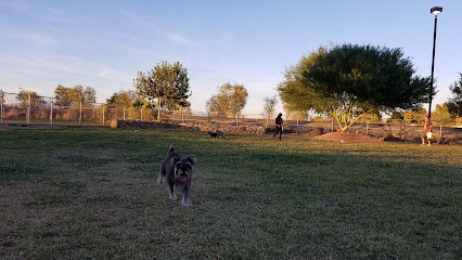Sunset Dog Park