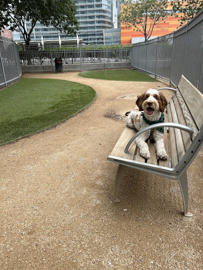 Vdara Dog Park