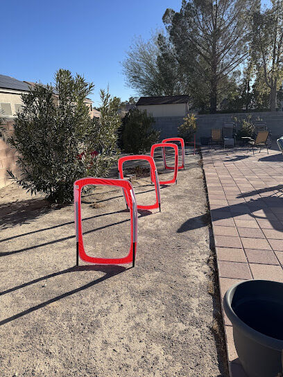 Kaurie’s fully fenced yard with agility trading course