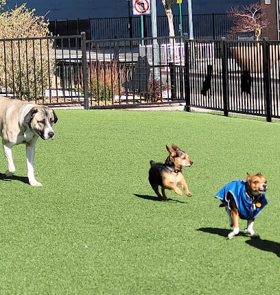 Biggest Little Dog Park