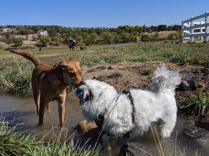 Rancho San Rafael Off-Leash Dog Park
