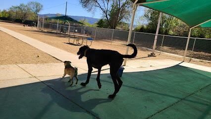 Virginia Lake Dog Park