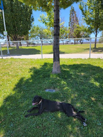 Sparks Marina Dog Park