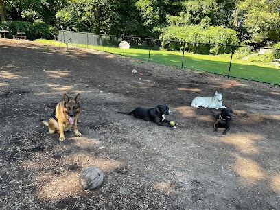 Dog Park