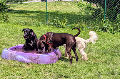 Hartman Rd Dog Park