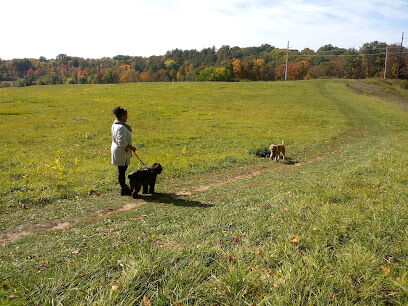 Normanskill Farm Dog Park