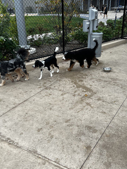 Sven Dog Park