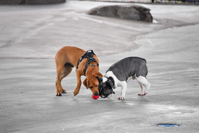 Triborough Bridge Playground C Dog Run