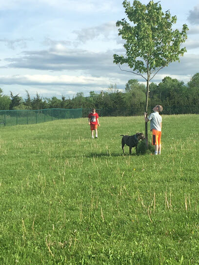 Athens Bunker Hill Dog Park