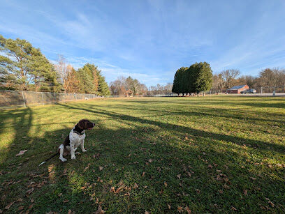 Romp and Play Dog Park