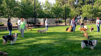 Throgs Neck Dog Park