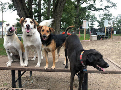 Friends of Beacon Dog Park