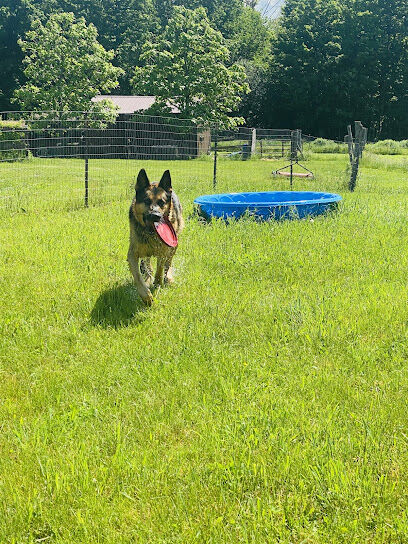 Finger Lakes Dog Park