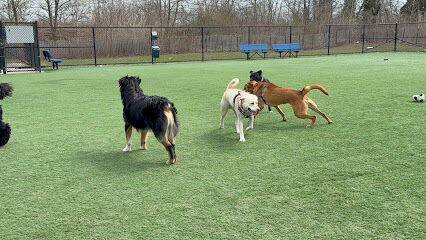 Town of Hempstead Dog Park