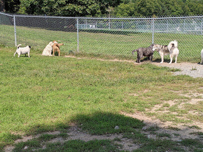 Central Bark, off leash Dog Park