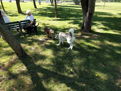 Sweden Dog Park