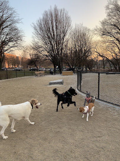 Bronx River Park Dog Run