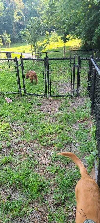 Dog Bone Run