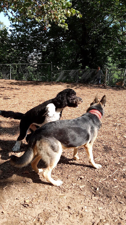Ewen Park Dog Run