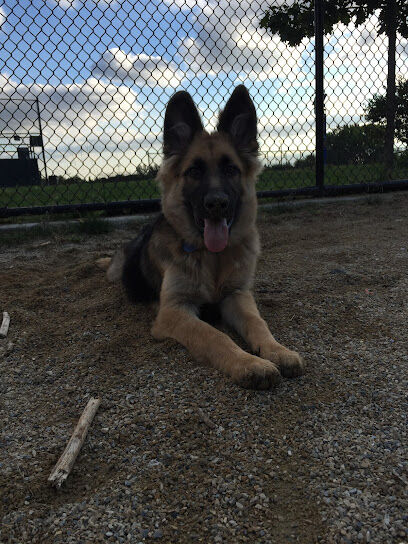 Soundview Park Dog Run