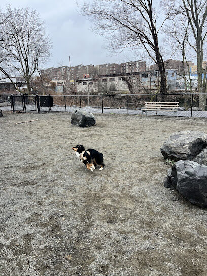 Starlight Park Dog Run
