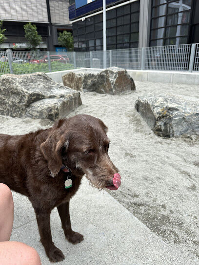 Abolitionist Place Dog Park