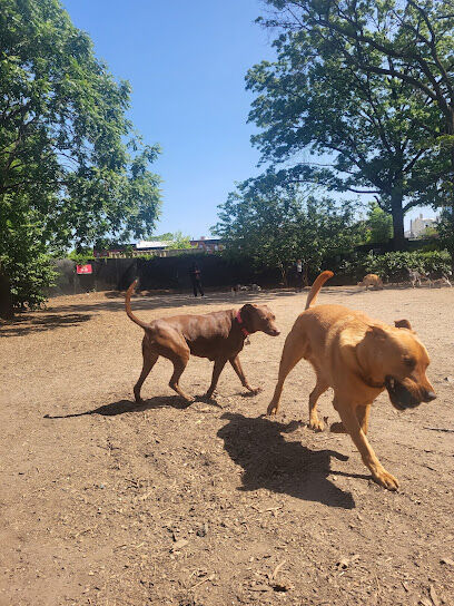 Cobble Hill Dog Park