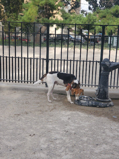 Cooper Park Dog Run