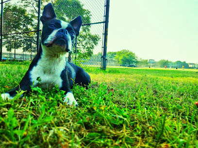Friends Field