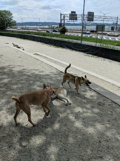 Owl's Head Park Dog Run
