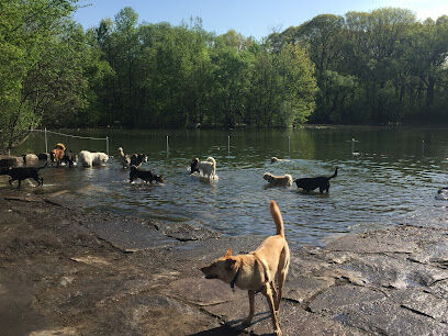 Prospect Park Dog Beach