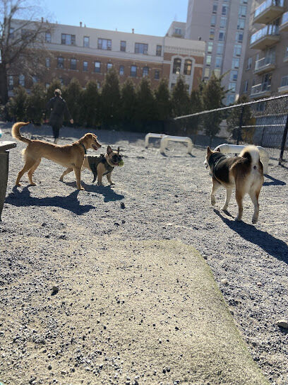 Washington Park Dog Run