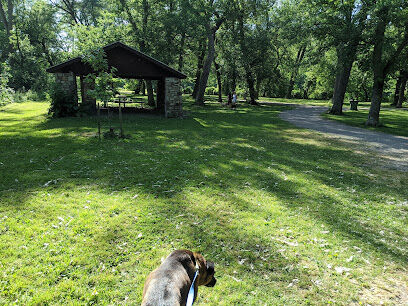 Bark Park