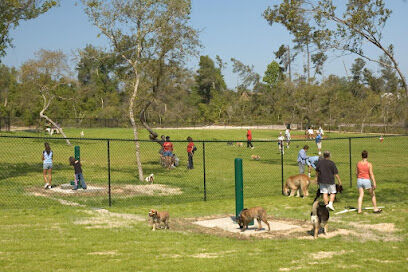 Dog Park