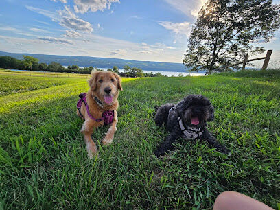 The Dog Park at Grist Iron Brewing Company