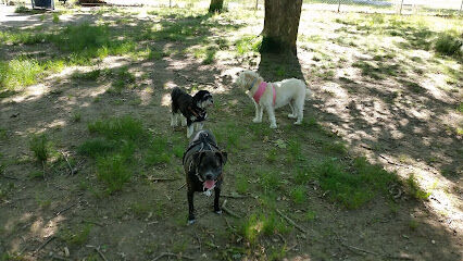 Isaac Dog Park
