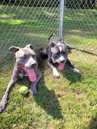 Chestertown Dog Park