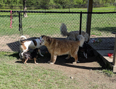Town of Colonie Dog Park