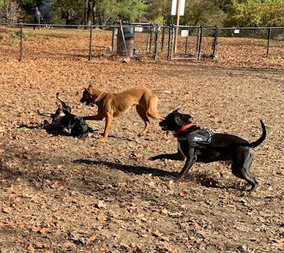 Black Rock Dog Park