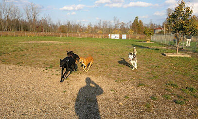 Smith Road Paw Park