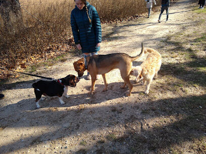 Springs Park Dog Park