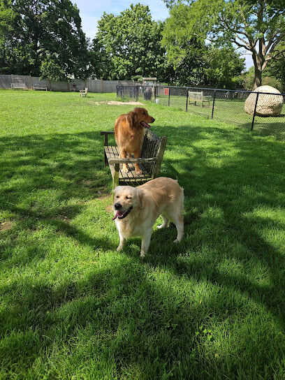 Dog Park