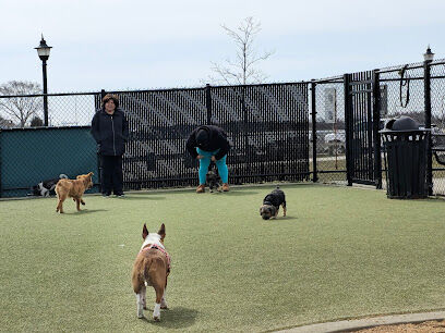 Bay Park Dog Park