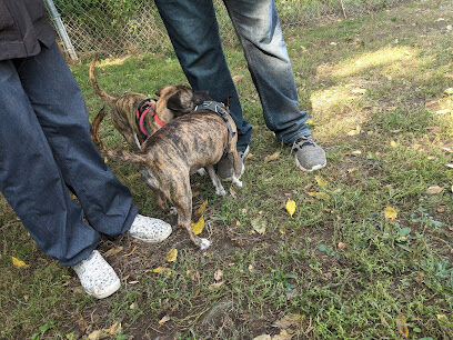 Geneva Bark Park
