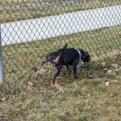 Palatine Bark Dog Park