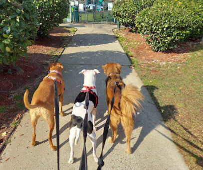 Glen Oaks Village Enchanted Forest Dog Park - Private